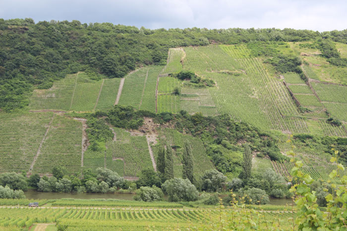 Weingut am Steilhang